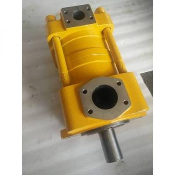 CQTM31-31.5F-2.2-3R-380-S1431-E CQ Series Gear Pump Original import #3 image