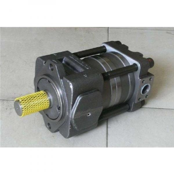 PVM045ER17DS05AAA0700000AA0A Vickers Variable piston pumps PVM Series PVM045ER17DS05AAA0700000AA0A Original import #2 image