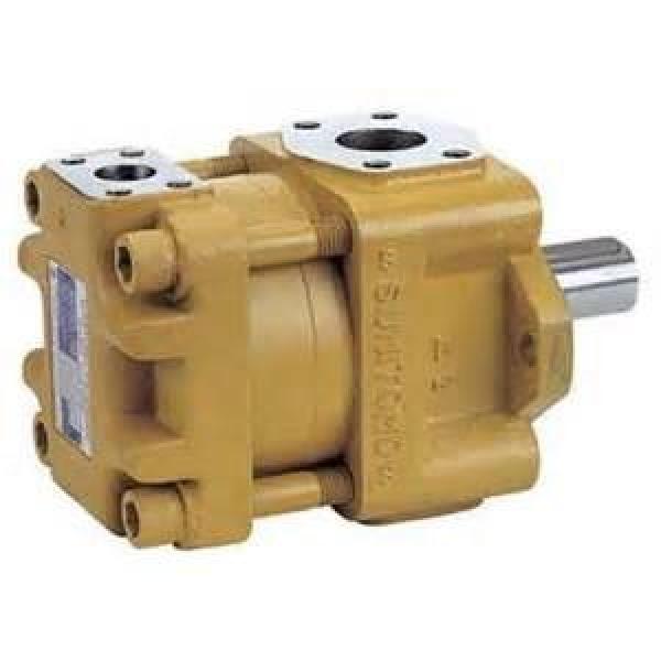 CQTM31-31.5F-2.2-3R-380-S1431-E CQ Series Gear Pump Original import #2 image