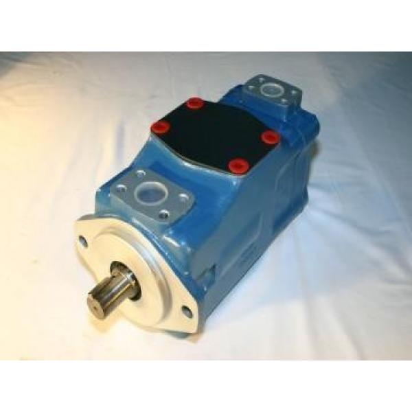 DS11P-20 Hydraulic Vane Pump DS series Original import #2 image