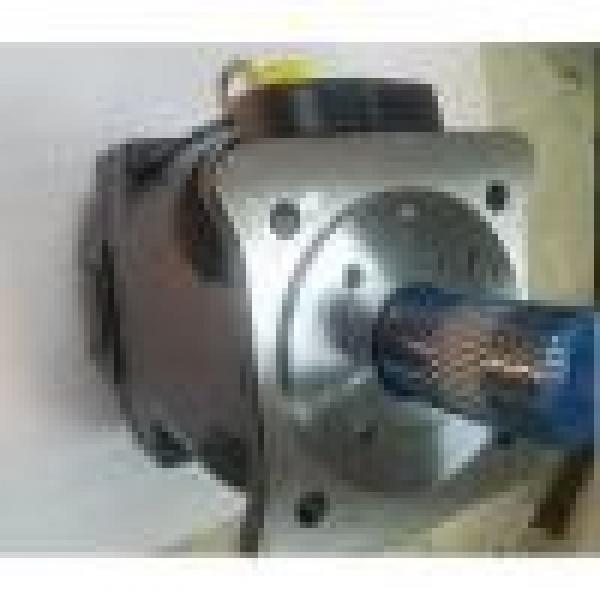 PV2R34-76-136-FREAA YUKEN Double Vane Pump #2 image